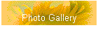 Photo Gallery